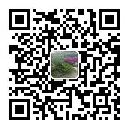 256908ab3f6a9f25f380117c4cabf11.jpg