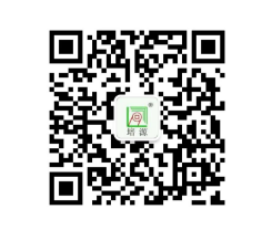QQ截图20241115174633.png
