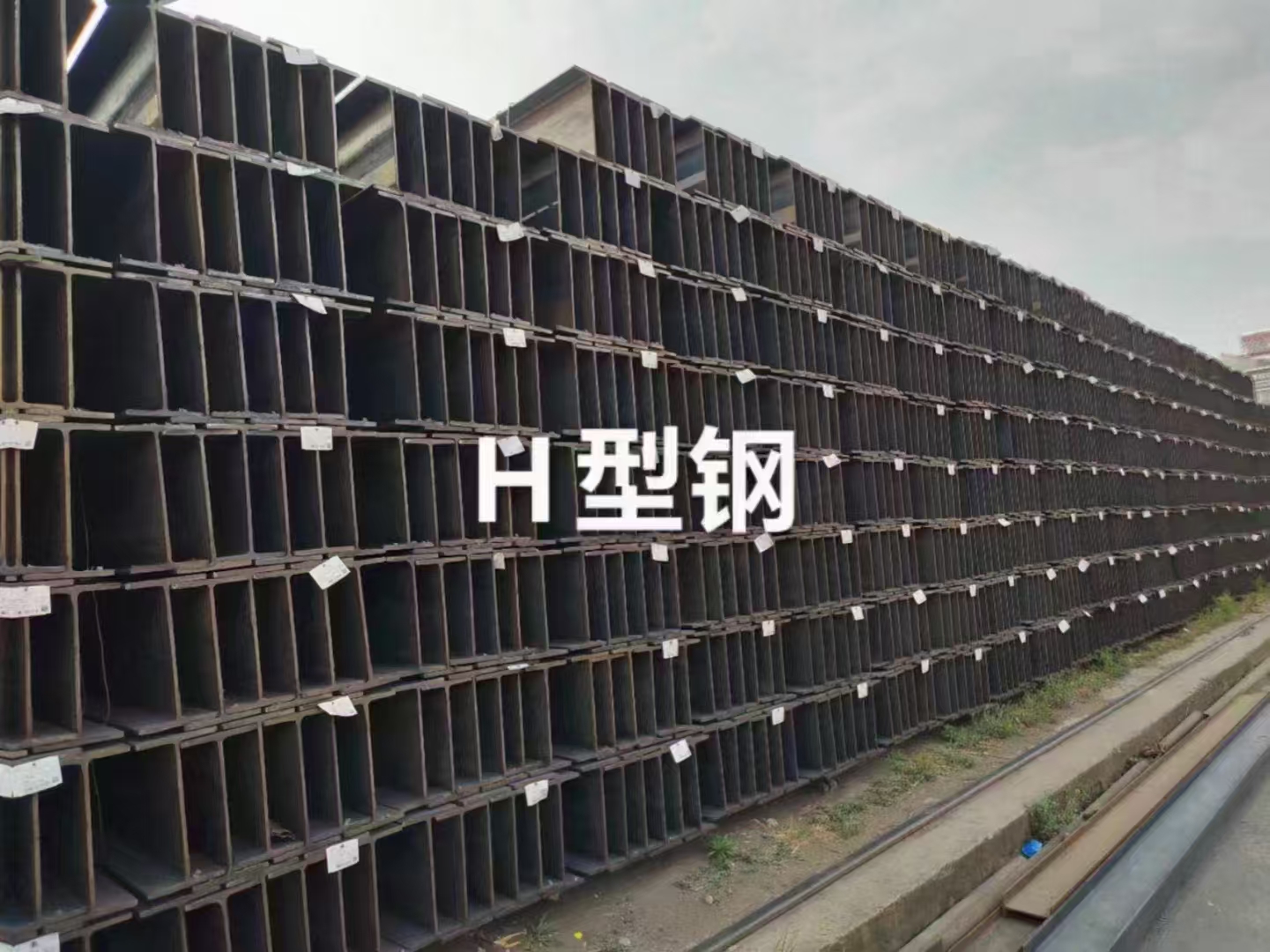 微信图片_20241118091900.jpg