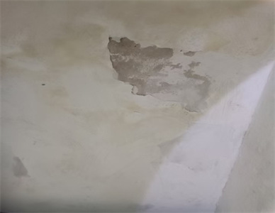 f8bcdd0bedd364308e262cd6a6fd5e9.jpg