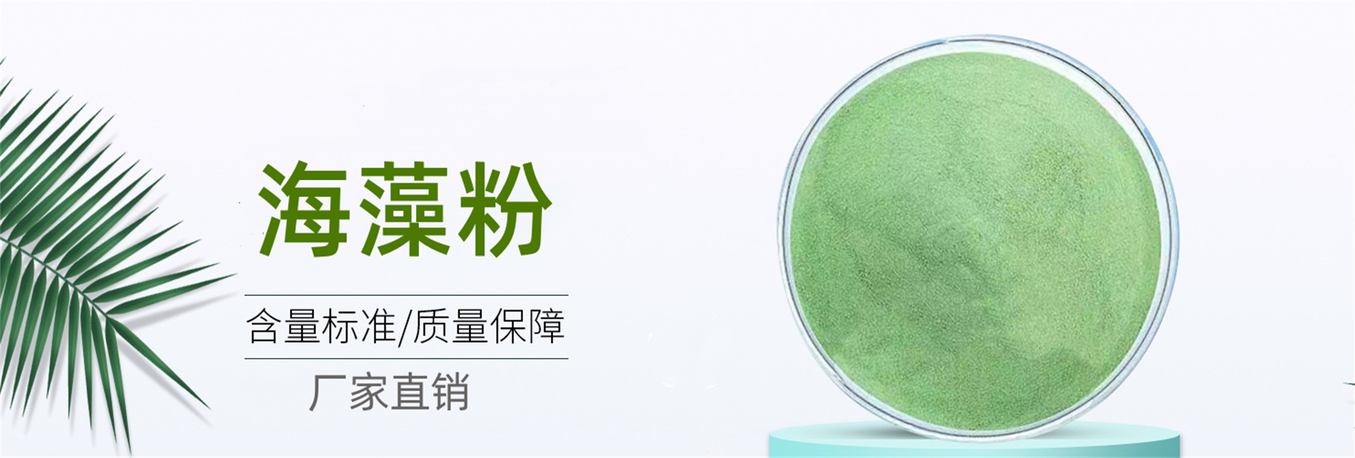 微信截图_20241119212004.jpg