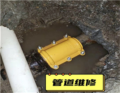 1732093871696345.jpg 微信图片_20230411204829.jpg