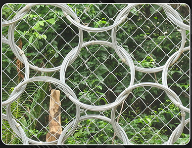 1773640890945361.jpg 11.jpg